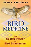 Bird Medicine The Sacred Power of Bird Shamanism 2013 9781591431589 Front Cover