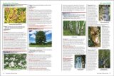 Complete Guide to Trees and Shrubs 2008 9780696234590 Front Cover