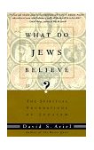 What Do Jews Believe? The Spiritual Foundations of Judaism 1996 9780805210590 Front Cover
