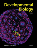 Developmental Biology 13th 9780197574591 Front Cover
