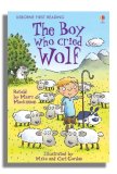 Boy Who Cried Wolf  9780746085592 Front Cover