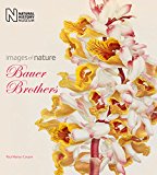 Bauer Brothers Images of Nature  9780565093594 Front Cover