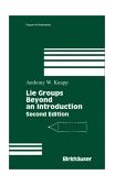 Lie Groups Beyond an Introduction  cover art
