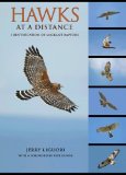 Hawks at a Distance Identification of Migrant Raptors  9780691135595 Front Cover