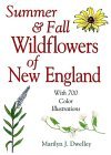 Summer and Fall Wildflowers of New England With 700 Color illustrations 2nd 2004 Revised  9780892725595 Front Cover