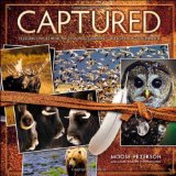 Captured Lessons from Behind the Lens of a Legendary Wildlife Photographer  9780321720597 Front Cover