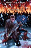 Angel After the Fall  9781613770597 Front Cover
