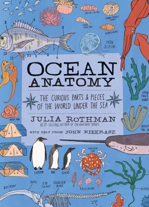 Ocean Anatomy The Curious Parts and Pieces of the World under the Sea  9781635861600 Front Cover