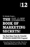Black Book of Marketing Secrets 2009 9781933356600 Front Cover