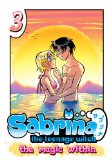 Sabrina the Teenage Witch: the Magic Within 3  9781936975600 Front Cover