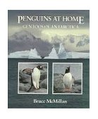 Penguins at Home Gentoos of Antarctica 1993 9780395665602 Front Cover