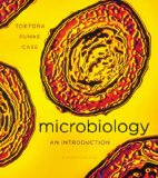 Microbiology An Introduction cover art