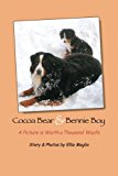 Cocoa Bear and Bennie Boy A Picture Is Worth a Thousand Woofs 2012 9781478172604 Front Cover