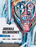 Juvenile Delinquency The Core cover art