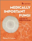 Medically Important Fungi 