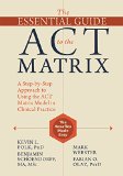 Essential Guide to the ACT Matrix A Step-By-Step Approach to Using the ACT Matrix Model in Clinical Practice  9781626253605 Front Cover