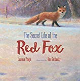 Secret Life of the Red Fox  9781629792606 Front Cover