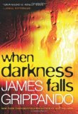 When Darkness Falls  9780641927607 Front Cover