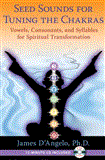 Seed Sounds for Tuning the Chakras Vowels, Consonants, and Syllables for Spiritual Transformation 2012 9781594774607 Front Cover