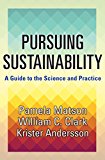 Pursuing Sustainability A Guide to the Science and Practice  9780691157610 Front Cover