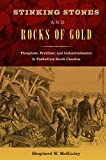 Stinking Stones and Rocks of Gold Phosphate, Fertilizer, and Industrialization in Postbellum South Carolina  9780813064611 Front Cover