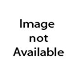 Ashokan Catskills : A Natural History 2nd 9780935796612 Front Cover