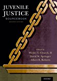 Juvenile Justice Sourcebook  cover art