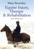 Equine Injury, Therapy and Rehabilitation  cover art