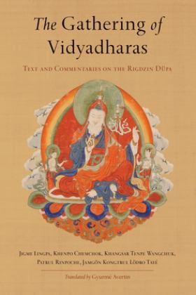 The Gathering of Vidyadharas: Text and Commentaries on the Rigdzin Dupa  9781611803617 Front Cover