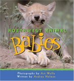 Northwest Animal Babies 2006 9781570614620 Front Cover