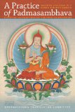 Practice of Padmasambhava Essential Instructions on the Path to Awakening 2011 9781559393621 Front Cover