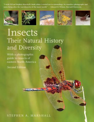 Insects: Their Natural History and Diversity With a Photographic Guide to Insects of Eastern North America 2nd 9781770859623 Front Cover