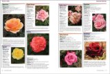 Complete Guide to Roses The Rose Gardener's Reference to the Best Varieties 2008 9780696236624 Front Cover