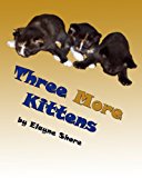 Three More Kittens 2013 9781489509628 Front Cover