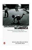 Growing up Ethnic in America Contemporary Fiction about Learning to Be American 1999 9780140280630 Front Cover