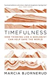 Timefulness: How Thinking Like a Geologist Can Help Save the World  9780691202631 Front Cover
