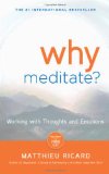 Why Meditate Working with Thoughts and Emotions cover art