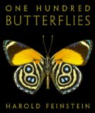 One Hundred Butterflies 2009 9780316033633 Front Cover