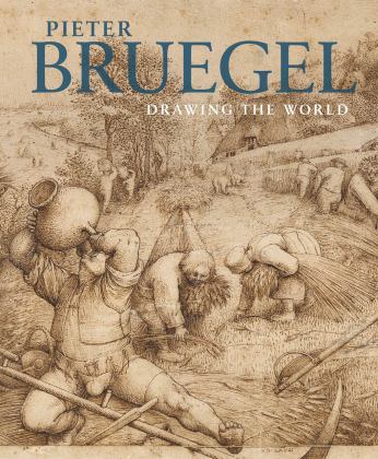 Pieter Bruegel Drawing the World  9783777428635 Front Cover