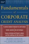 Standard &amp;amp; Poor&#39;s Fundamentals of Corporate Credit Analysis 