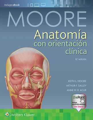 Anatomï¿½a con Orientaciï¿½n Clï¿½nica 8th 9788417033637 Front Cover
