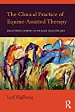 Clinical Practice of Equine-Assisted Therapy Including Horses in Human Healthcare  9781138674639 Front Cover