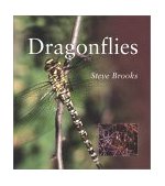 Dragonflies 2003 9781588340641 Front Cover