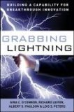 Grabbing Lightning Building a Capability for Breakthrough Innovation  9780787996642 Front Cover