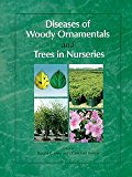 Diseases of Woody Ornamentals and Trees in Nurseries  9780890542644 Front Cover