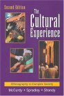 Cultural Experience Ethnography in Complex Society cover art