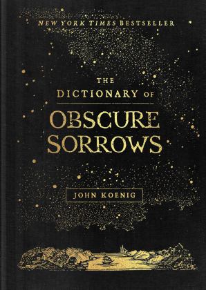 Dictionary of Obscure Sorrows  9781501153648 Front Cover