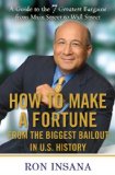 How to Make a Fortune from the Biggest Bailout in U. S. History A Guide to the 7 Greatest Bargains from Main Street to Wall Street 2009 9781583333648 Front Cover