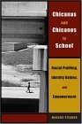 Chicanas and Chicanos in School Racial Profiling, Identity Battles, and Empowerment cover art