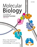 Molecular Biology: Principles of Genome Function  9780198788652 Front Cover